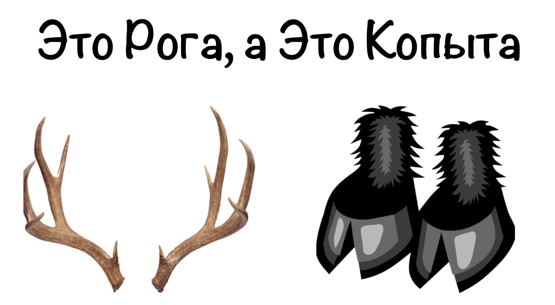 Рогикоп